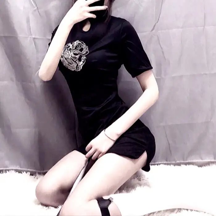骑士龙战队龙装者